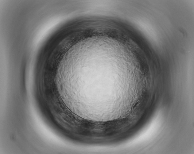 X0000112820191200909041522