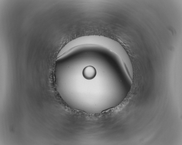 X0000112820192200909041522