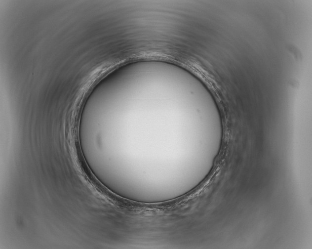 X0000112820193200909041521