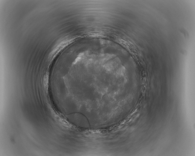 X0000112820194200909041521