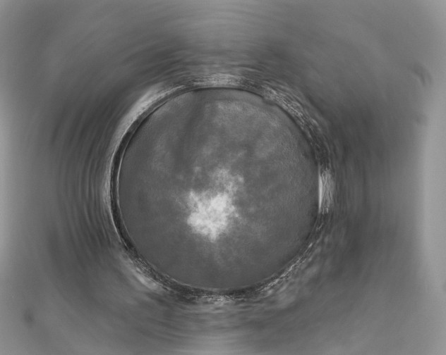 X0000112820195200909041521