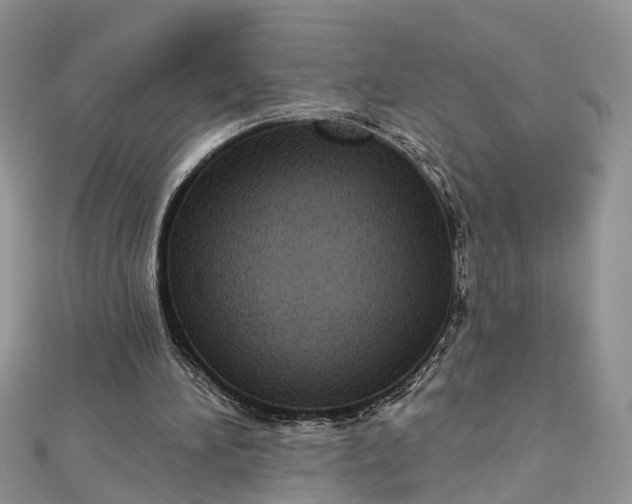 X0000112820196200909041521