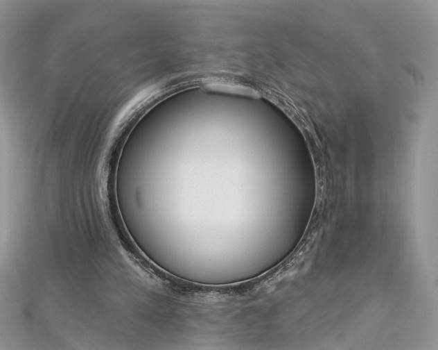 X0000112820197200909041521