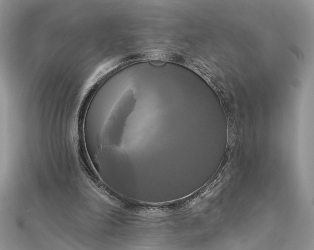 X0000112820198200909041521