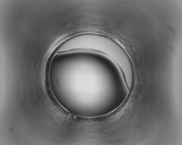 X0000112820199200909041521