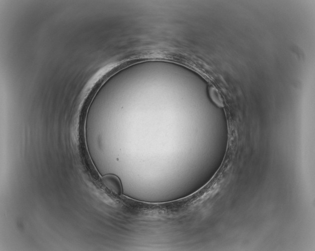 X0000112820200200909041521