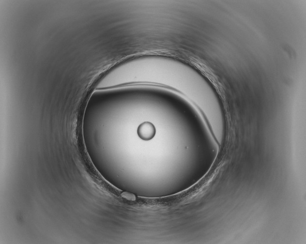 X0000112820201200909041521