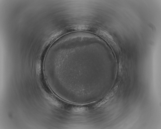 X0000112820202200909041521