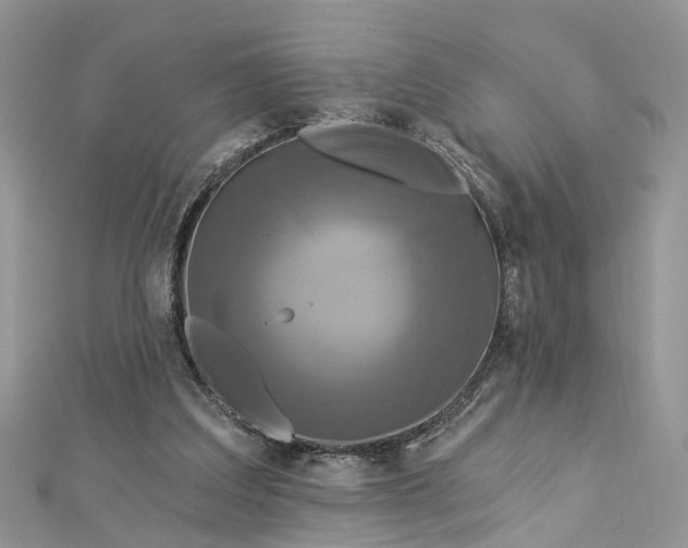 X0000112820203200909041521