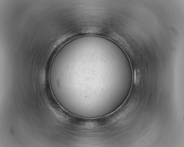 X0000112820204200909041521