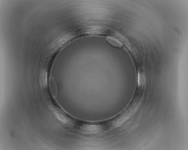 X0000112820205200909041521