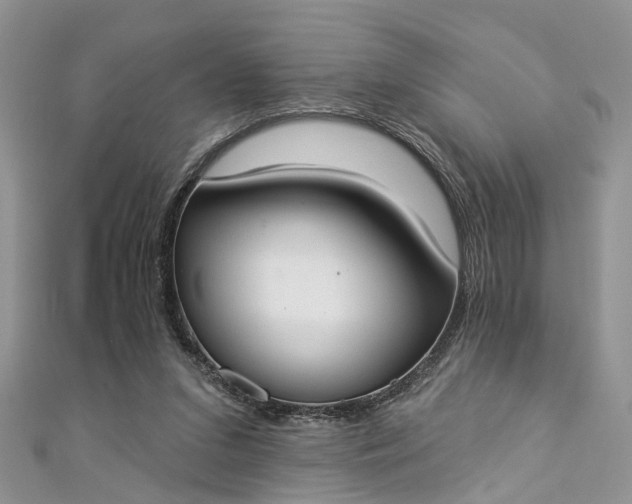 X0000112820207200909041521