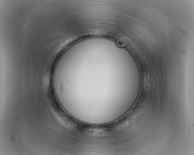 X0000112820208200909041521