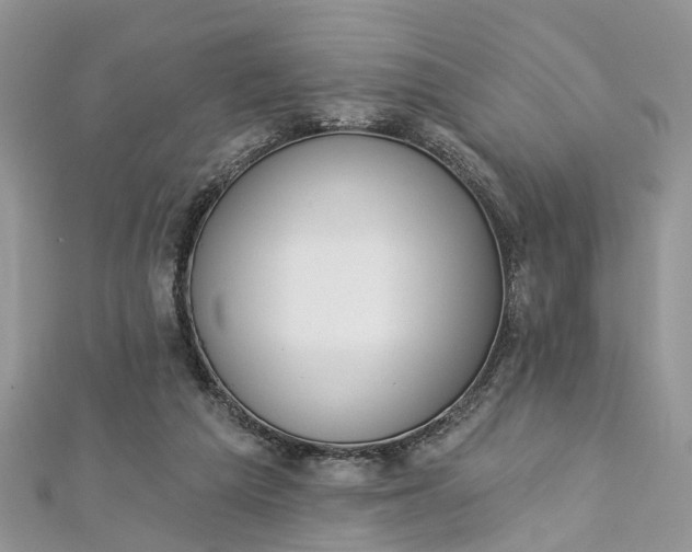 X0000112820209200909041521