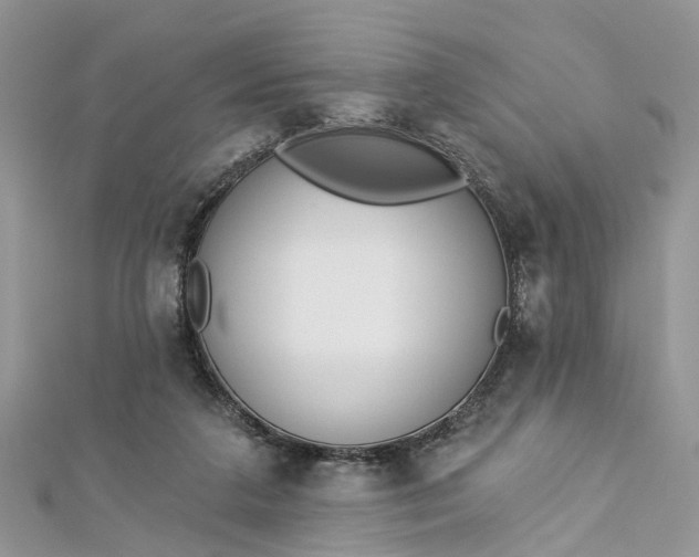 X0000112820211200909041521