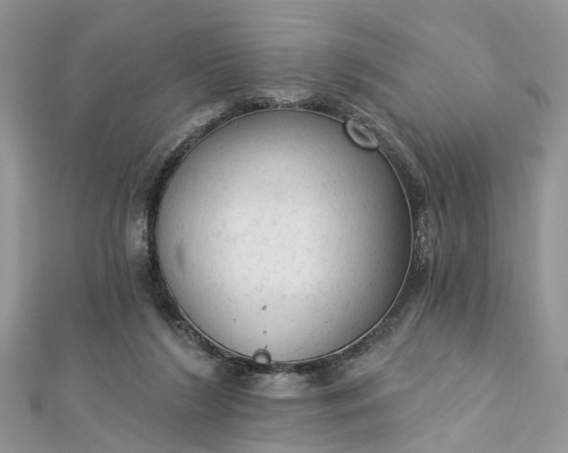 X0000112820212200909041521