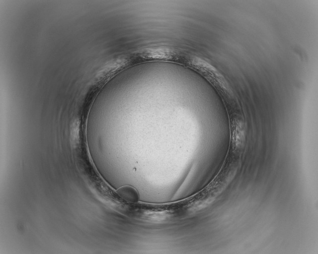 X0000112820213200909041521