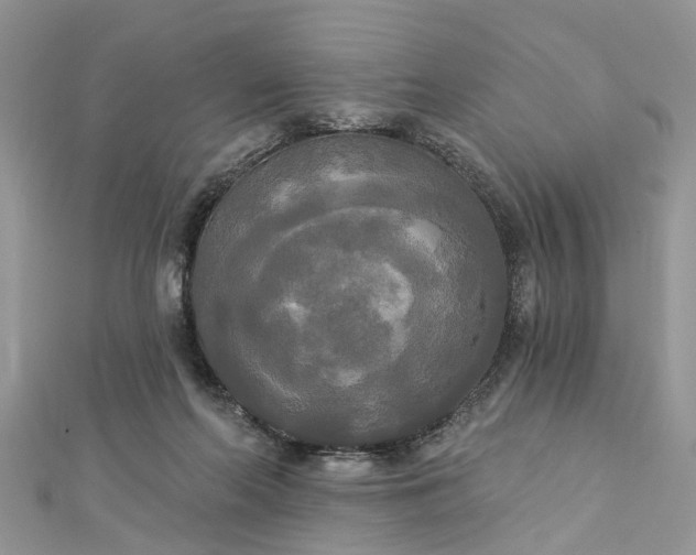 X0000112820214200909041521