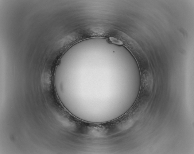 X0000112820215200909041521