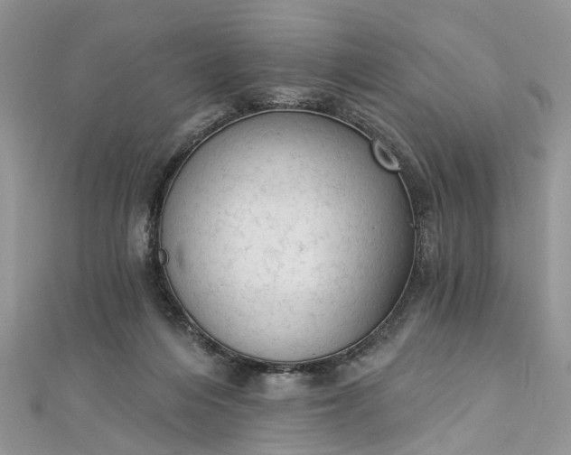 X0000112820216200909041521