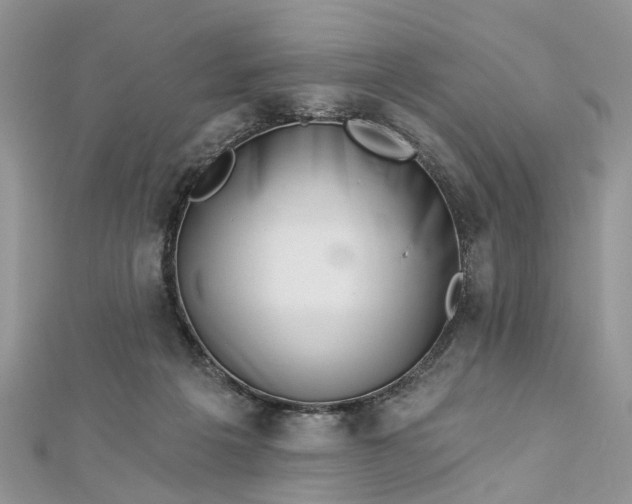 X0000112820217200909041521