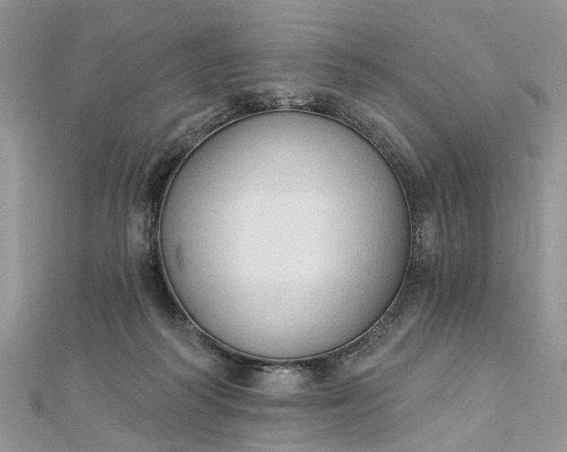 X0000112820218200909041521