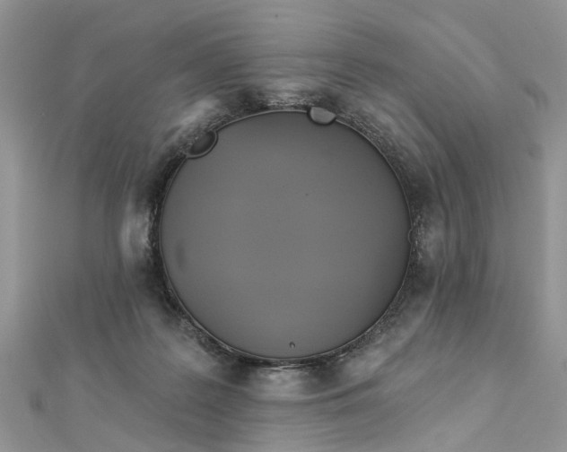 X0000112820219200909041521