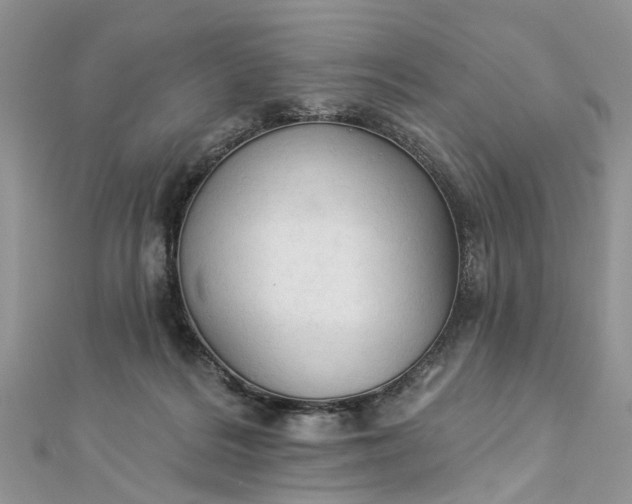 X0000112820220200909041521