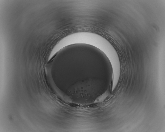 X0000112820223200909041521