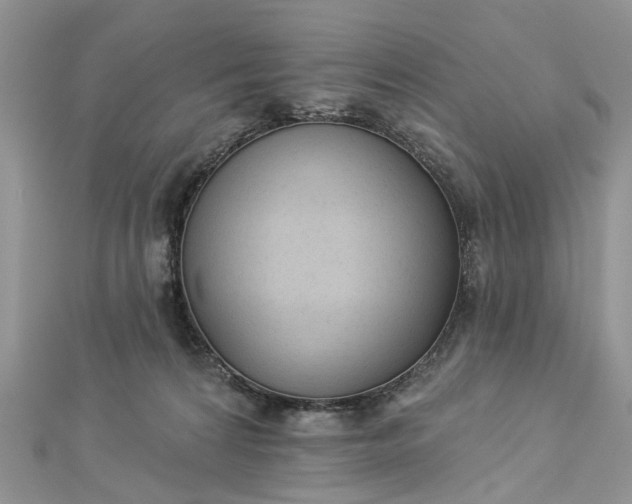 X0000112820224200909041521