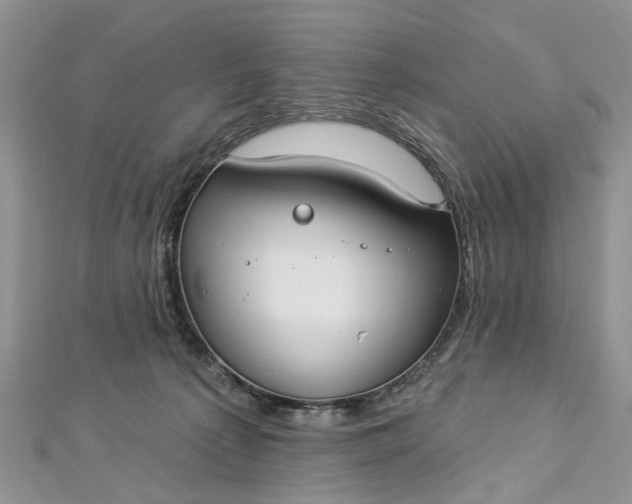 X0000112820225200909041521