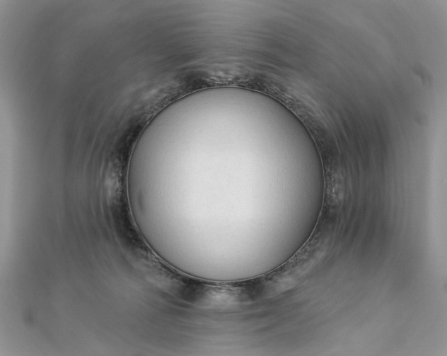 X0000112820226200909041521