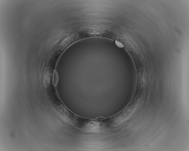 X0000112820227200909041521