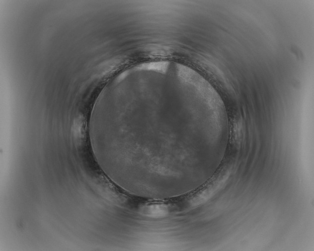 X0000112820228200909041521