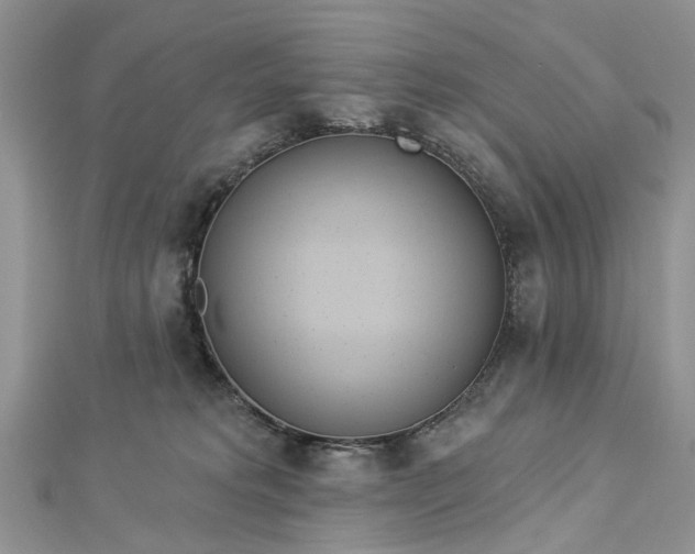 X0000112820229200909041521