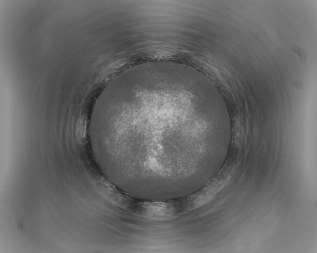 X0000112820230200909041521