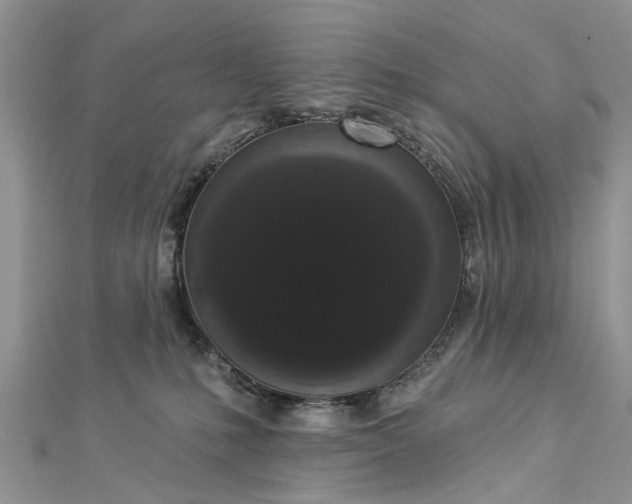 X0000112820231200909041521