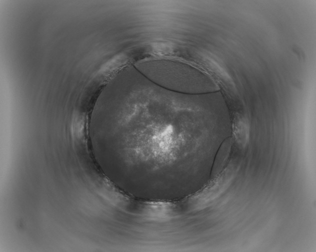 X0000112820233200909041521