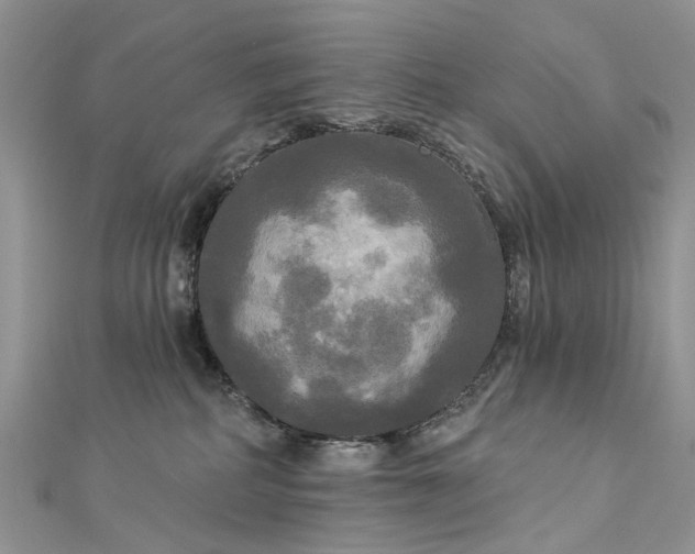 X0000112820234200909041521