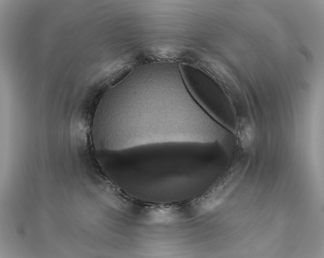 X0000112820235200909041521