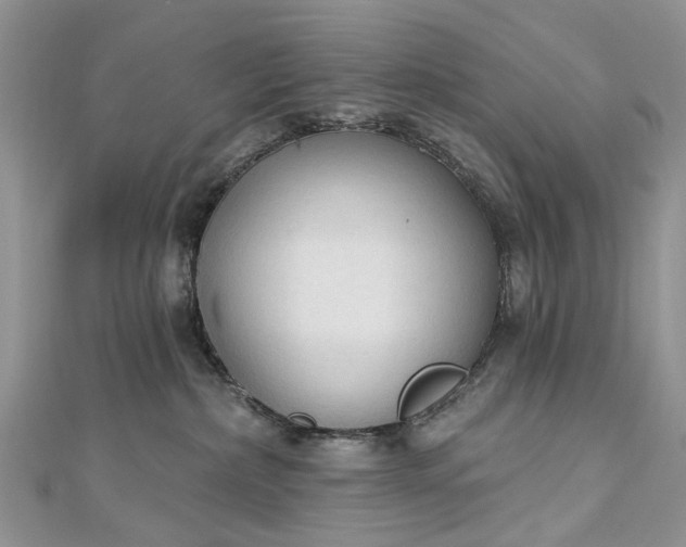 X0000112820236200909041521