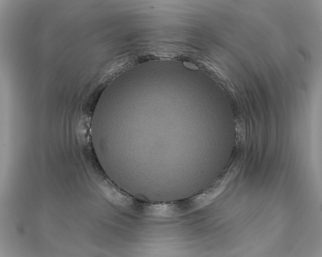 X0000112820237200909041521