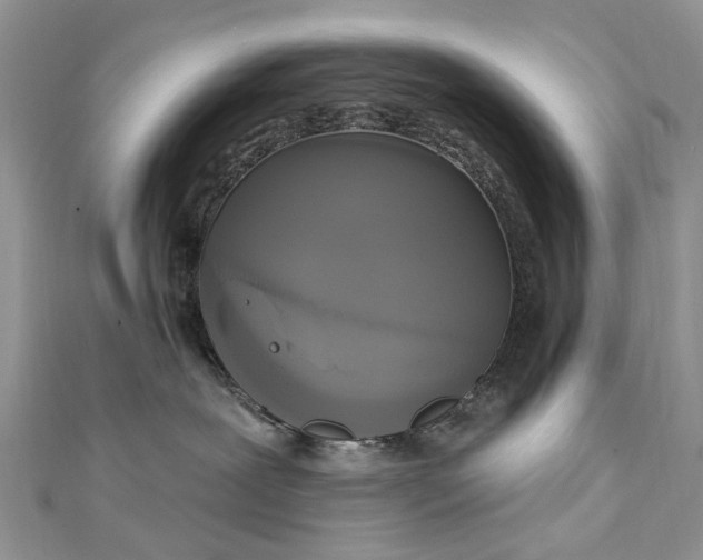 X0000112820239200909041521