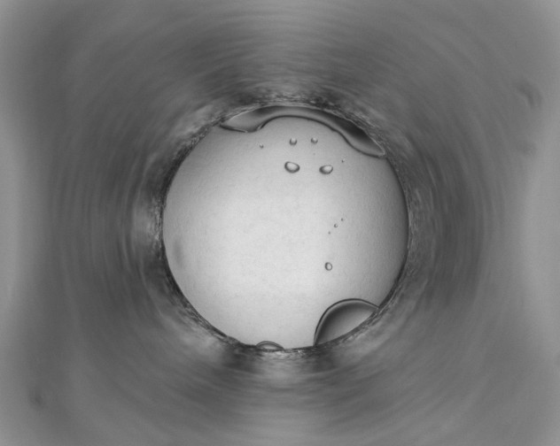 X0000112820240200909041521