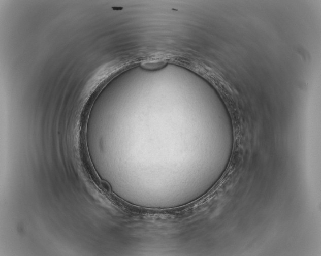 X0000112820242200909041520