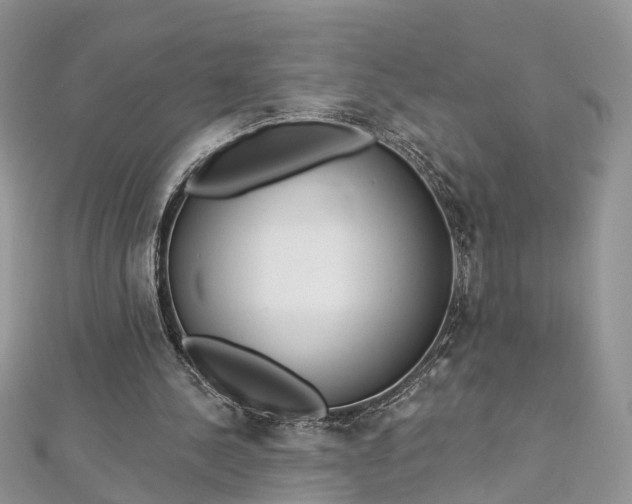 X0000112820244200909041520