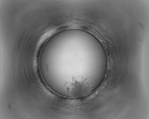 X0000112820245200909041520