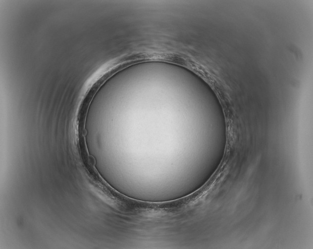 X0000112820246200909041520