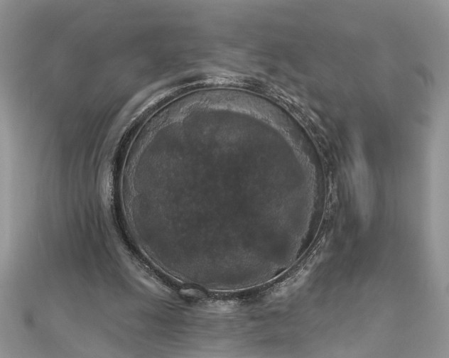 X0000112820247200909041520