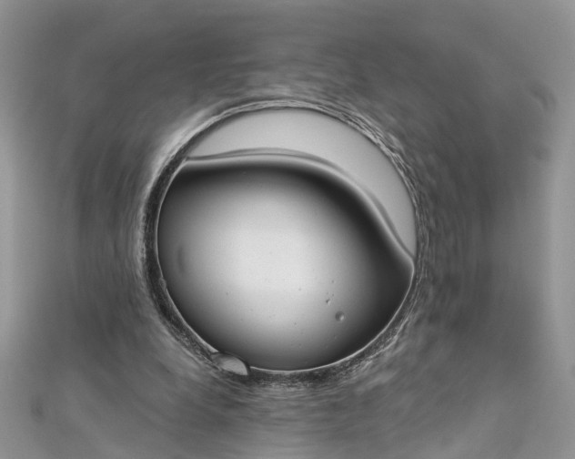 X0000112820248200909041520